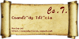 Csanády Tícia névjegykártya